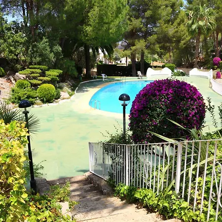 Buganvilla *